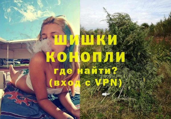 крисы Долгопрудный