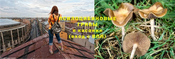 крисы Медвежьегорск