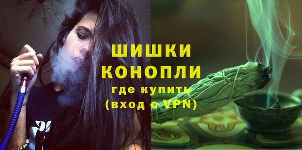амф Майский