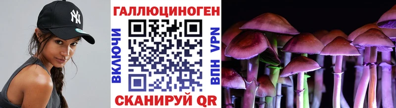 купить наркоту  Ладушкин  Псилоцибиновые грибы ЛСД 
